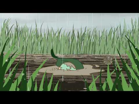比治山大学短期大学部