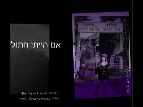 Avner Strauss Cat Song From Blues Haor Haganuz אבנר שטראוס חתול