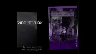 Avner Strauss Cat Song From Blues Haor Haganuz אבנר שטראוס חתול