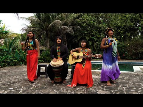 Biruany , Batani, Shaya & Maxi - Indiarada tem poder /  Música Tradicional Huni Kuin