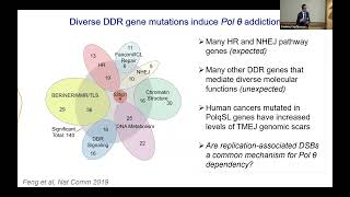 Mechanisms Driving Polymerase Theta Essentiality | 2025 BRCA Scientific Symposium