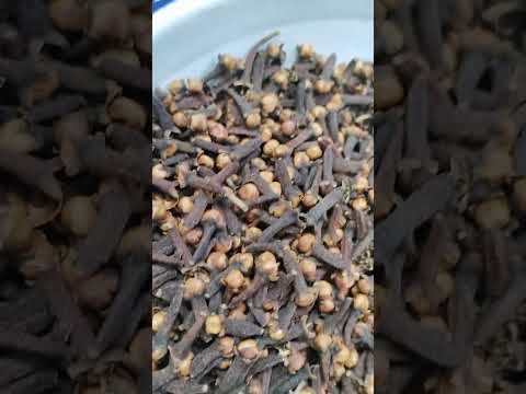 Brown dried whole cloves, packaging size: 50 kg