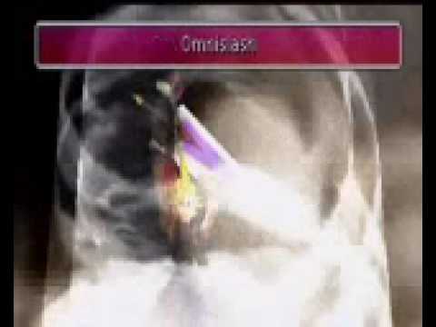 Final Fantasy 7-Cloud's 4th Limit: Omnislash vs. Sephiroth