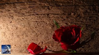 WORLD5 - Maybe There´s A Way (Lyrics HD)