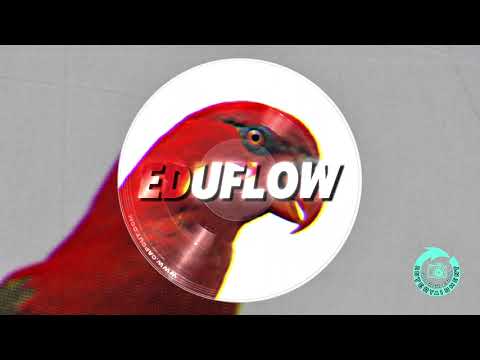 EduFlow - COPERI (Vizualizer)