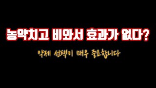 비가 많이 내린다? 갑자기 비온다? 근데 농약을 쳤다??? 이럴땐!!! 농약의 선택이 정말 중요합니다!!! …