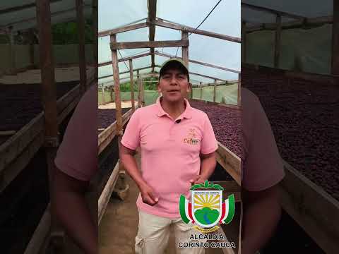 Corinto se prepara para vivir una jornada llena de sabor, tradición y emprendimiento!