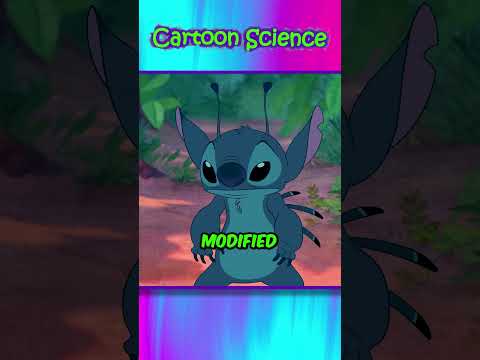 Stitch 4 Arms