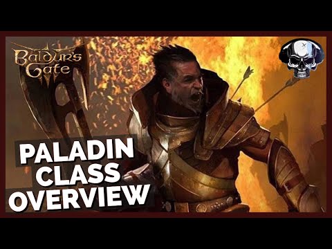 Baldur's Gate 3: Paladin Class Overview