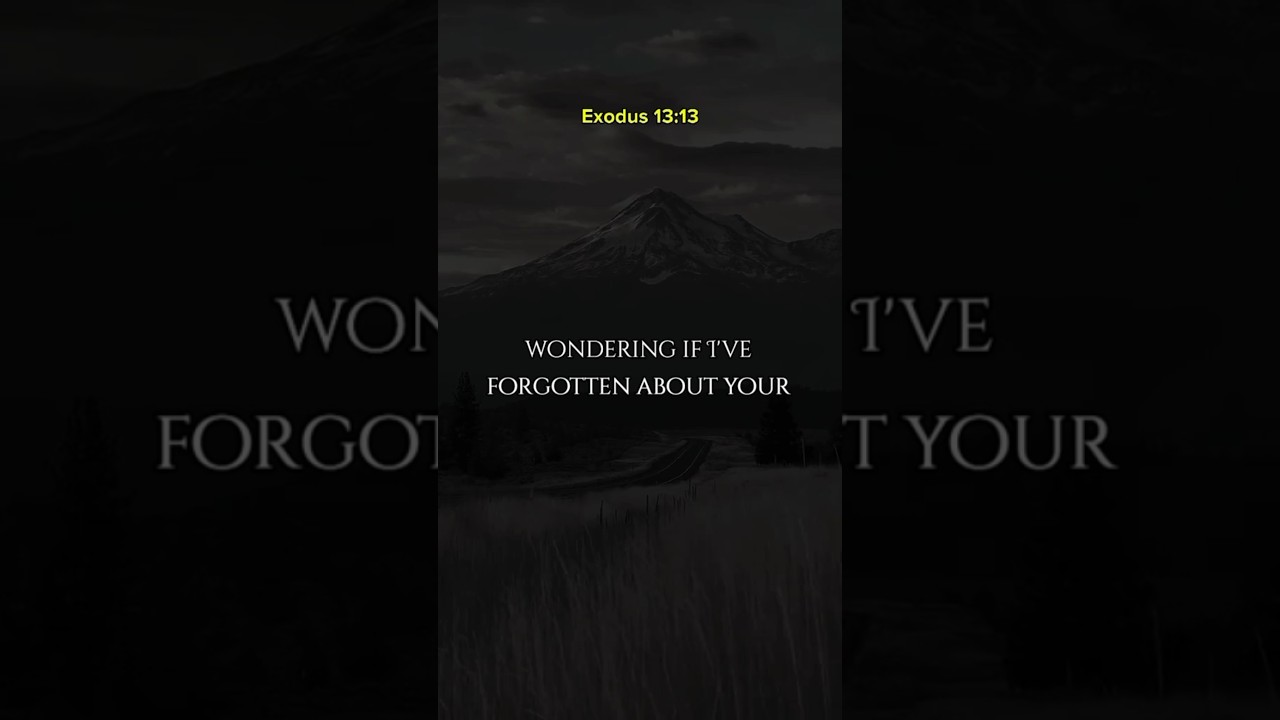 God Is Saying To You Today In Exodus 1313 bible verse|Jesus tried to talk to you|#jesus #prayer#
