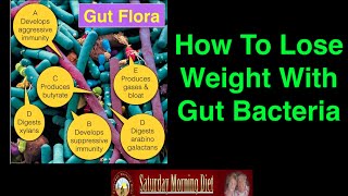 How To Lose Weight With Gut Bacteria