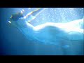 Cocco 音速パンチ Music Video