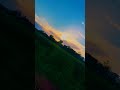 Koyla Theme ️