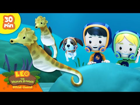 Witness21 Editor  2024 03 21