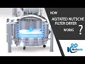 How ANFD Works Working Principle Agitated Nutsche Filter Dryer