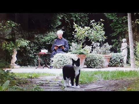 Morning Prayer – Friday, 21st August 2020