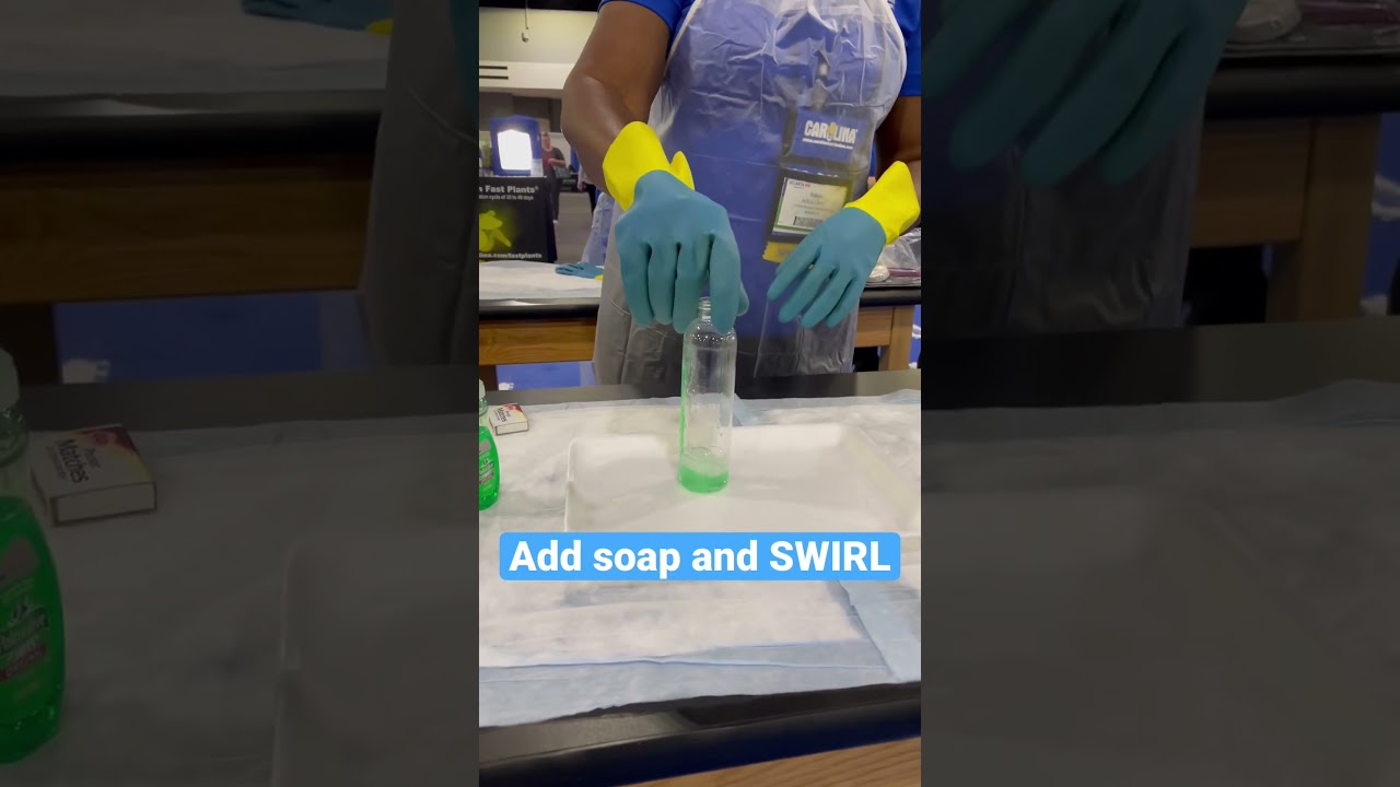 How to make Elephant Toothpaste! Search “elephant toothpaste” at www.Carolina.com to learn more