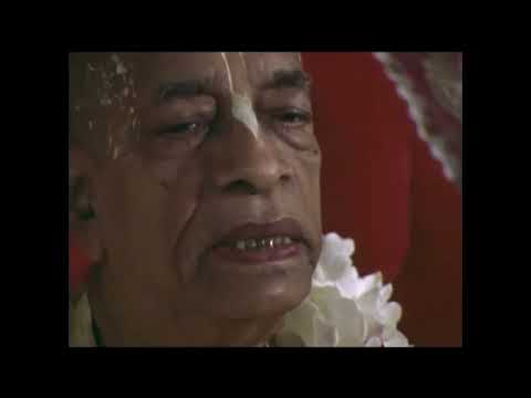 Miniatura del episodio 34