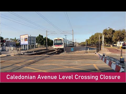 Caledonian Avenue Level Crossing Removal: Before and After