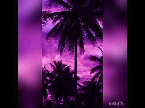 Dizzy D x yung Rolldak - Feelz