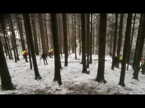 Auslesedurchforstung – praktischer Unterricht in der Forstfachschule Traunkirchen