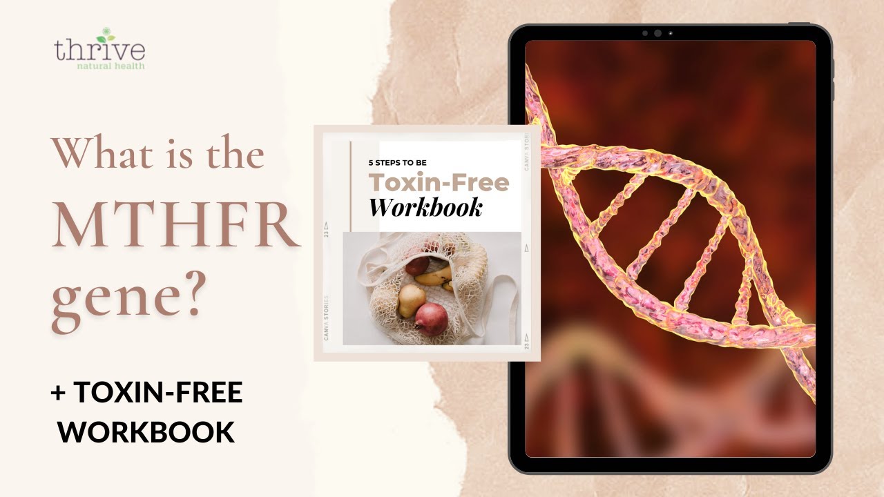 What is the MHFR gene? + Toxin-Free Workbook
