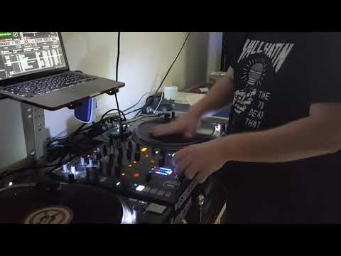 Skratching the baby kitten's voice