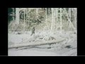 BIGFOOT COUNTY Official Trailer 2012 Sam Ayers Don Scribner Stephon Stewart