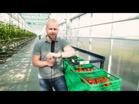 Tomaten-Verpackung | Sommertour 2015: Folge 27 | 2.8.2015