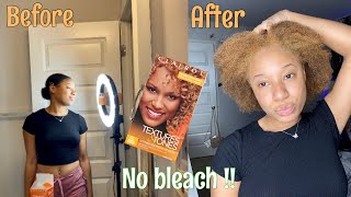 DYING MY HAIR FROM BLACK TO HONEY BLONDE 🍯 (textures and tones dye)