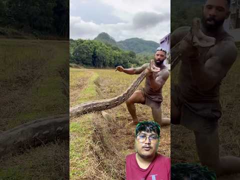 Python sarpa samaune taika yesto po rahixa #trending #selfconfidence #amazing #ideas #snake #fyp