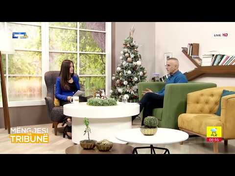 Mysafiri ne Studio - Basri Lenjani