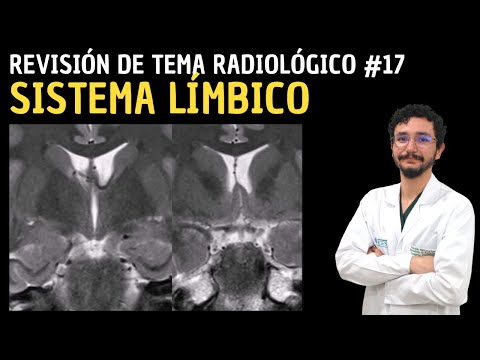Revisión de Tema 17: Sistema Límbico.