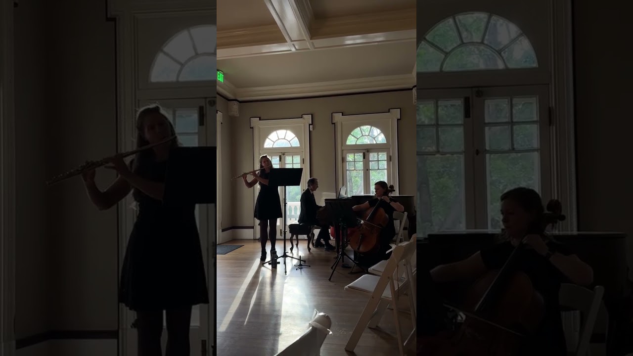 Promotional video thumbnail 4 for Flute and Strings by Christen Stephens