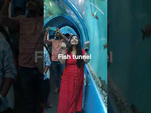 Fish aquarium tunnel,.#vizag #beachlife #fish #tunnel #fishtunnel