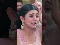 Rabb Se Hai Dua Ep 617 Aditi Sharma Karanvir Sharma Zee TV UK Zeetv Rabbsehaidua Zee