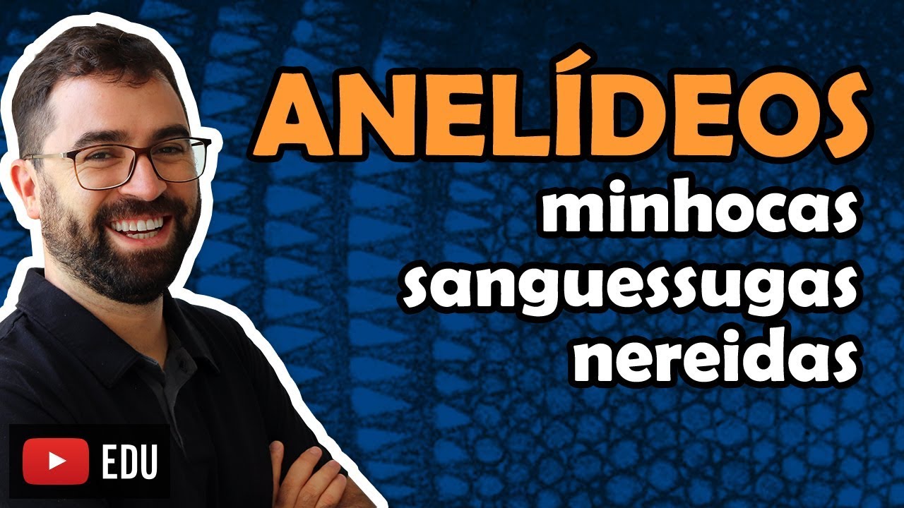Anelídeos - Aula 18 - Módulo VI: Zoologia | Prof. Guilherme