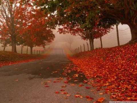 Jesen stiže Dunjo moja - Zlati Muzikanti in Goran Karan