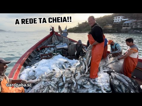 20/07/26 O BARCO QUASE NÃO AGUENTOU!!QUE TANTO PEIXE NA EMBARCAÇÃO,GAROPABA SC