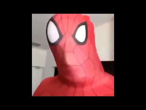 Fat Spiderman