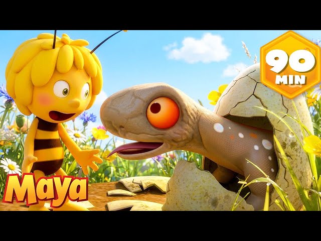 Maya Hatches an Egg! 🥚🦎 Maya The Bee 🐝 Full Episode | Cartoons and Videos For Kids SDDEFAULT Thumbnail
