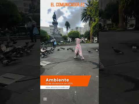 El Municipio atrapará a las palomas de diferentes sectores de #Ambato?#Tungurahua