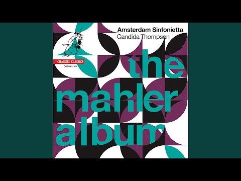 Symphony No. 10: I. Adagio (Arr. for String Orchestra by Hans Stadlmair)