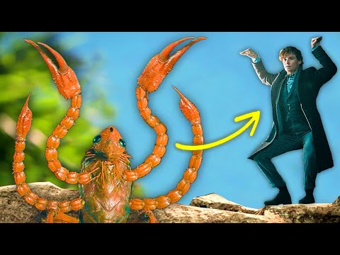 Fantastic Beasts But It's CRAB RAVE