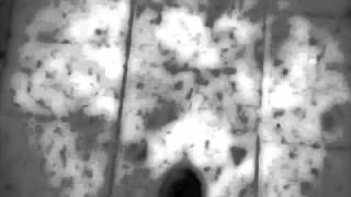 noir désir - elle va où elle veut