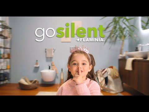 Flushing system GoSilent