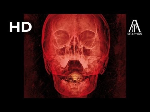 THE BAY I Bande-annonce VF