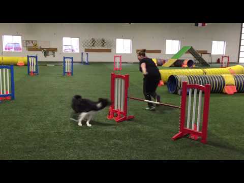 OMD - Kayl McCann & Rad @ Jaakko Seminar (Day 1)