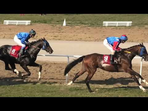 Trka  "Srpske Konjičke Divizije" 30.09.2018 Atil Trlić-Djordje Perović