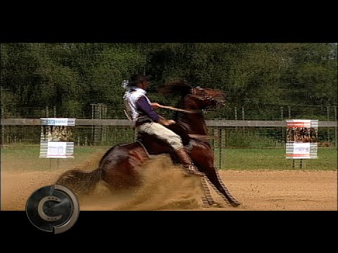 Viragro Côrte de Límia, one horse, many stories.